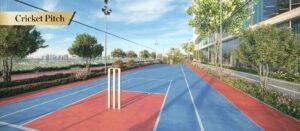 aspirz by danube cricket pitch