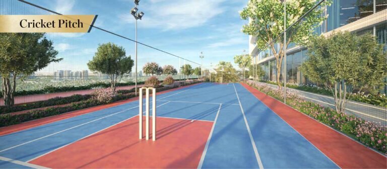 aspirz by danube cricket pitch